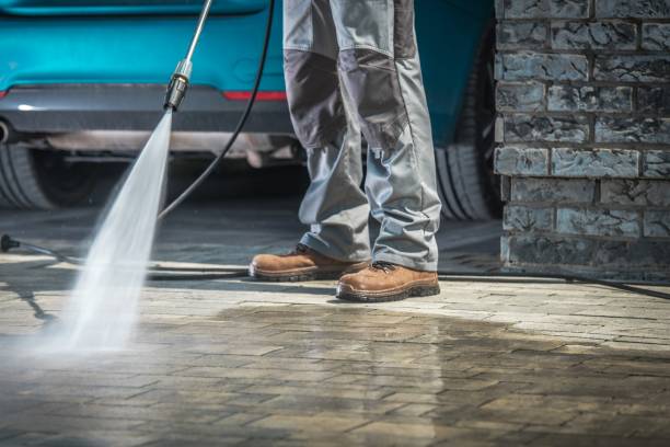 Best Pre-Holiday Cleaning  in Dovesville, SC