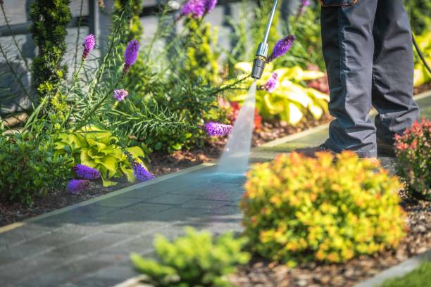 Trusted Dovesville, SC Pressure Washing Experts